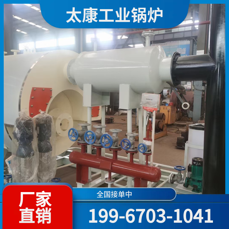 益阳燃煤导热油锅炉
